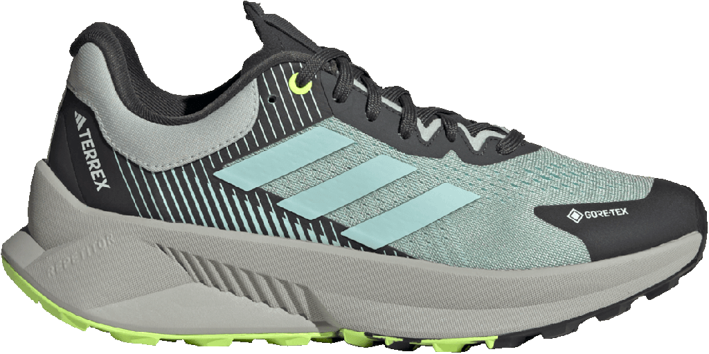 TERREX SOULSTRIDE FLOW GTX W Bleu