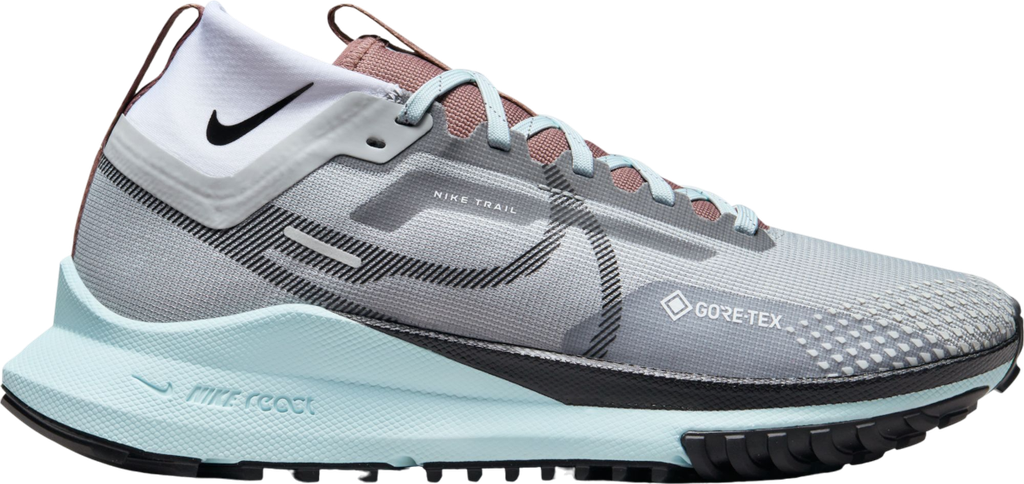 Pegasus Trail 4 GORE-TEX Argent