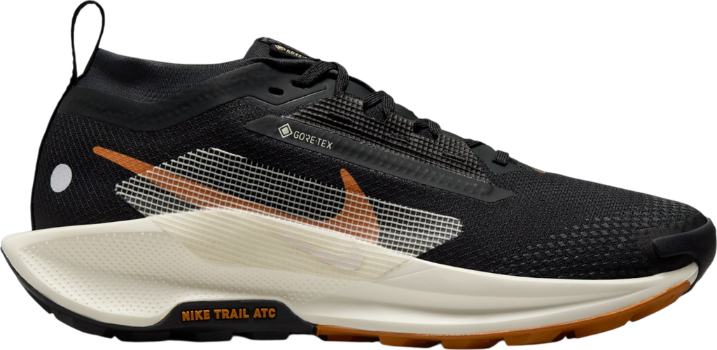 Pegasus Trail 5 GORE-TEX Noir