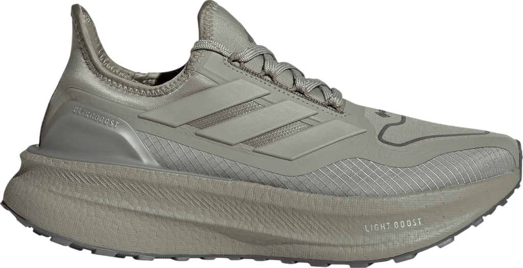 ULTRABOOST 5 GTX W Argent