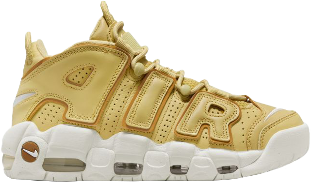 Air More Uptempo women Marron