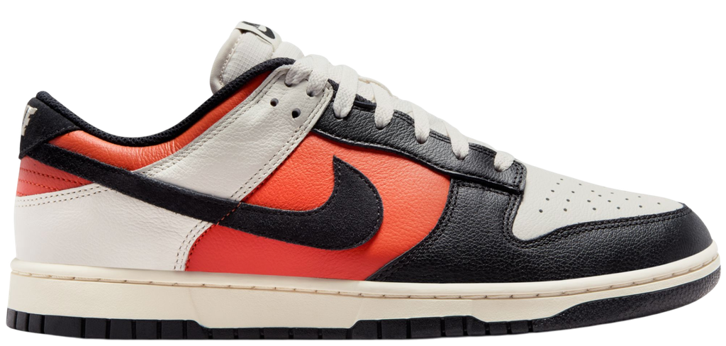 Dunk Retro Low Sneaker Multicolore