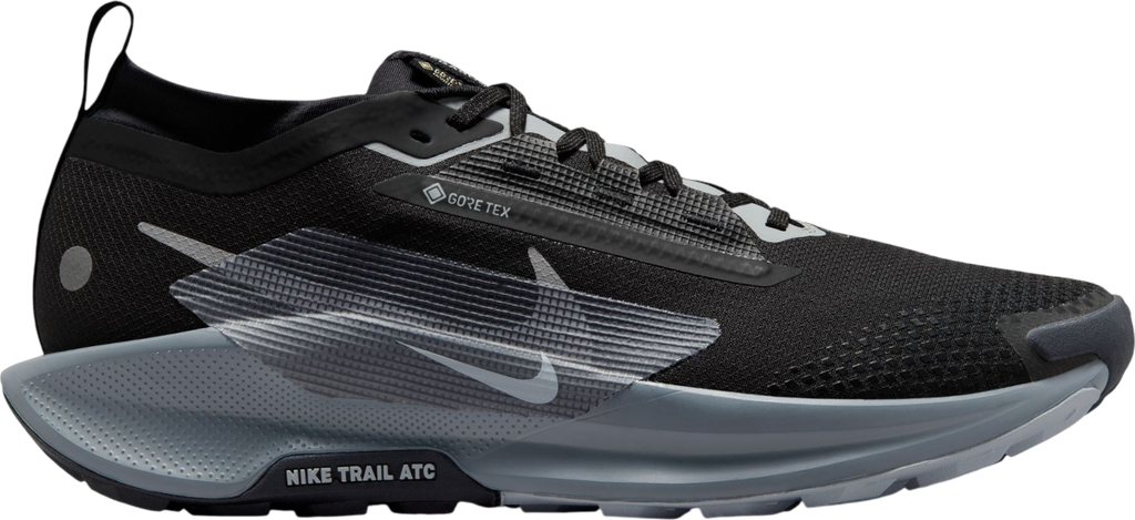 Pegasus Trail 5 GORE-TEX Noir