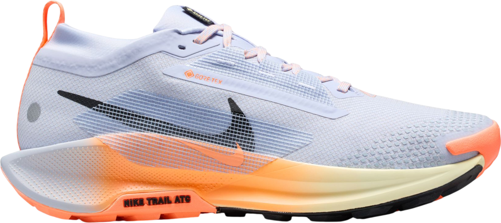 Pegasus Trail 5 GORE-TEX Argent