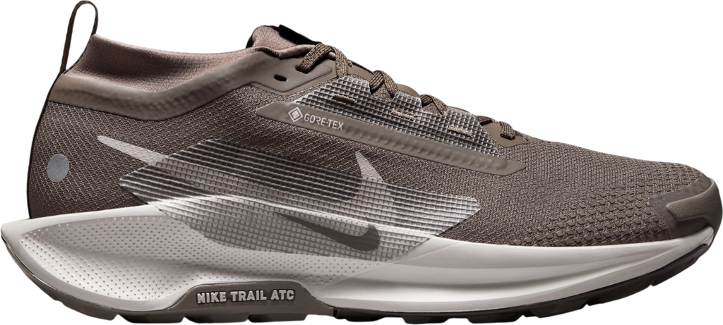 Pegasus Trail 5 GORE-TEX Marron