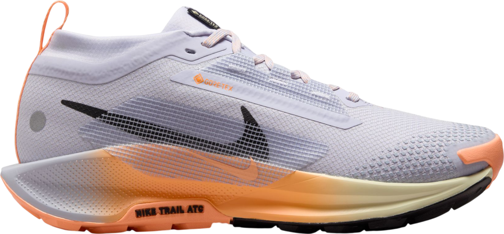 Pegasus Trail 5 GORE-TEX Argent