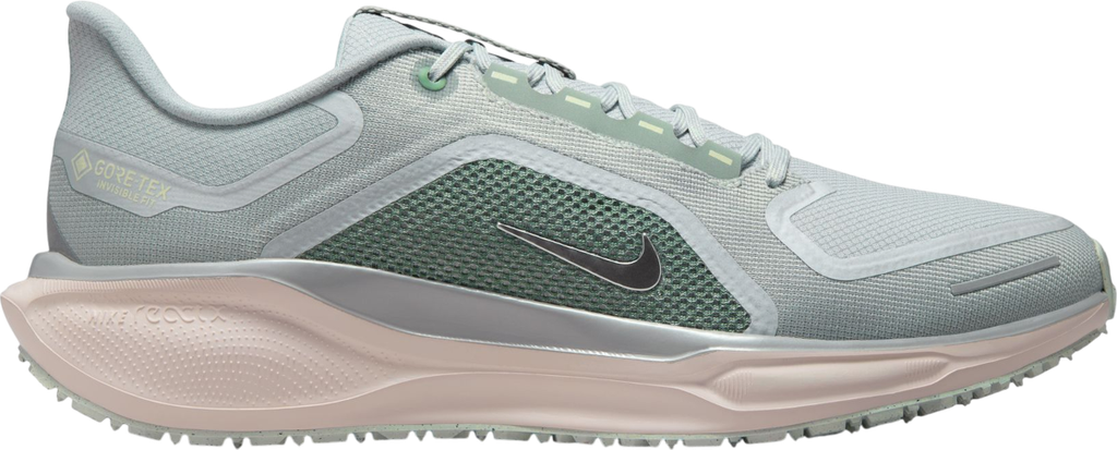 Pegasus 41 GORE-TEX Argent