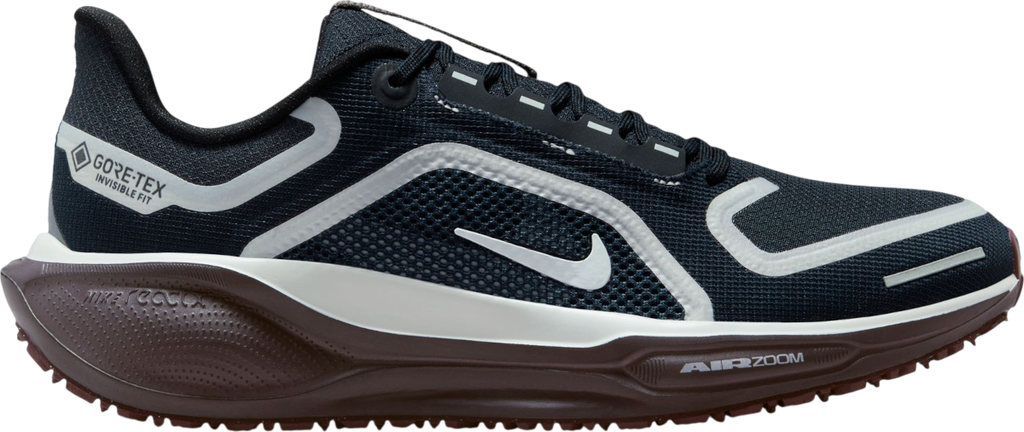 Pegasus 41 GORE-TEX Bleu