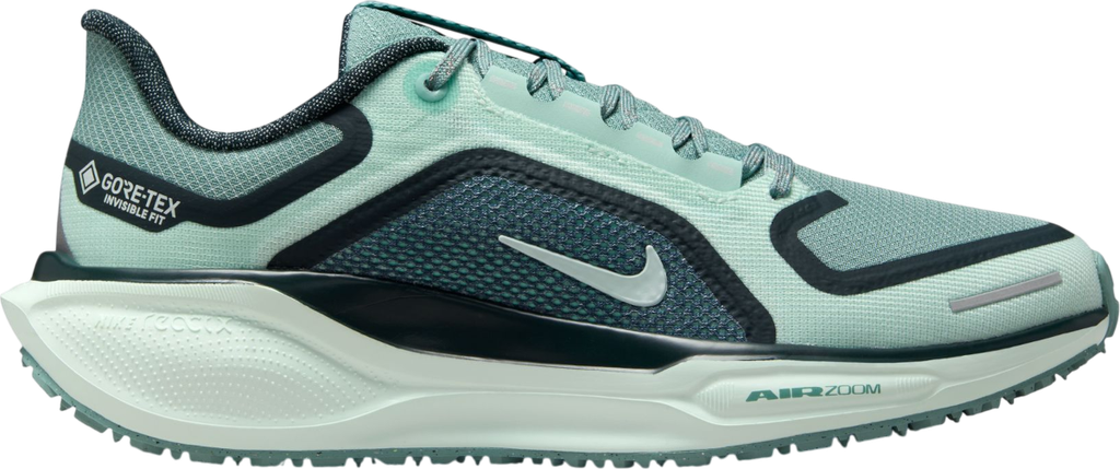 Pegasus 41 GORE-TEX Vert