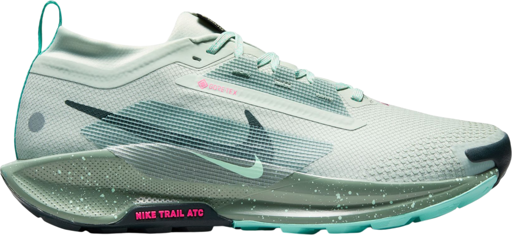 Pegasus Trail 5 GORE-TEX Vert