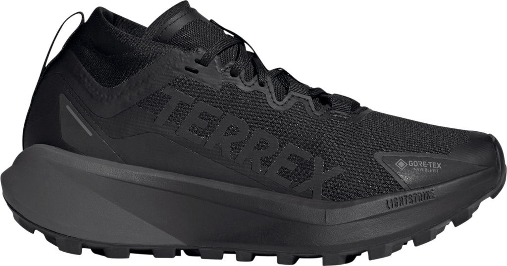 Terrex Agravic GTX Noir