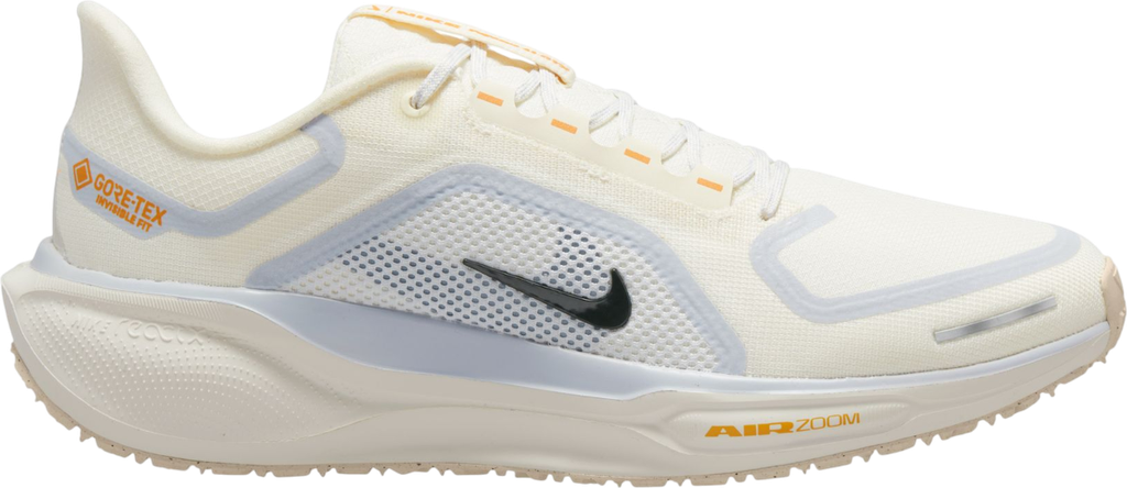 Pegasus 41 GORE-TEX Blanc