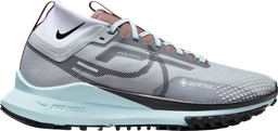 Pegasus Trail 4 GORE-TEX Argent
