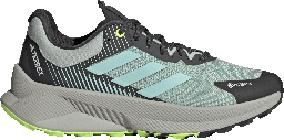 TERREX SOULSTRIDE FLOW GTX W Bleu
