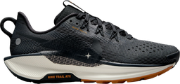 Pegasus Trail 5 Noir