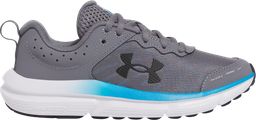 UA BGS Assert 10 Argent