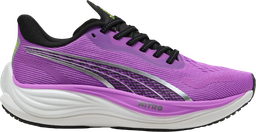 Velocity NITRO 3 Violet